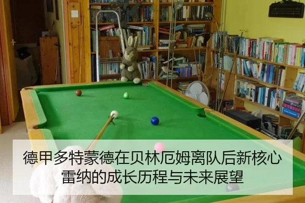 de-jia-duo-te-meng-de-zai-bei-lin-e-mu-li-dui-hou-xin-he-xin-lei-na-de-cheng-zhang-li-cheng-yu-wei-lai-zhan-wang-3-869.jpg