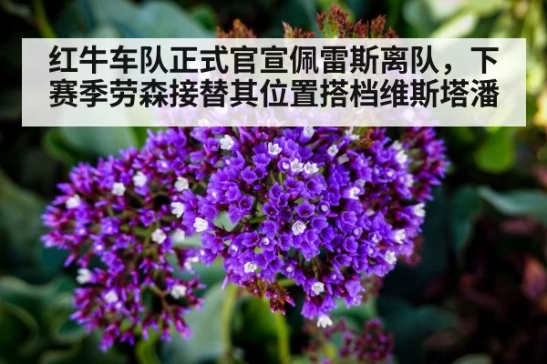 红牛车队正式官宣佩雷斯离队，下赛季劳森接替其位置搭档维斯塔潘